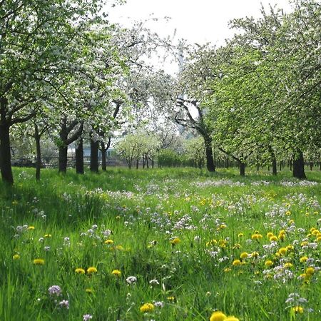 Ferienwohnung Zwischen Rhein Und Schwarzwald Bischweier Exterior foto